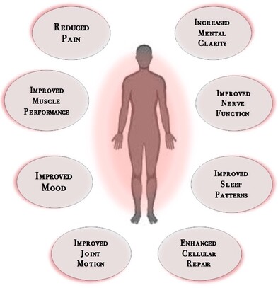 Graphic that shows benefits of red light therapy Red light, at specific wavelengths, is readily absorbed by chromophores in the mitochondria of the body’s cells which activate metabolic energy processes. Red and Near-infrared wavelengths of light promote ATP production, which boost energy transport within the cells, leading to increased cell proliferation. This boost in the body’s natural healing cycle helps reduce inflammation and promotes healing of damaged tissue. Red light therapy is also referred to as photobiomodulation therapy because of the change in the body induced by light.